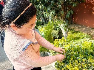 20250312植树节活动_html_4b24c9b7.jpg