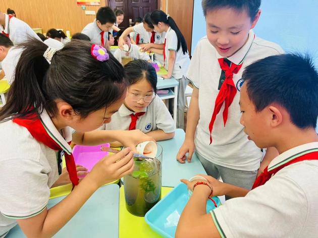 20240613指向“工学团创”的微项目式教学——暨栖霞区小学科学区级教研活动新闻稿_html_b04bda1.jpg