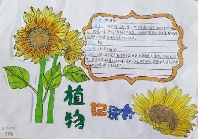 植物记录卡 亲近大自然_html_m7b062eb4.jpg