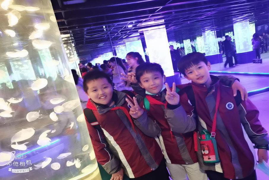 追寻深秋童话  探秘动物王国_html_m37972437.jpg