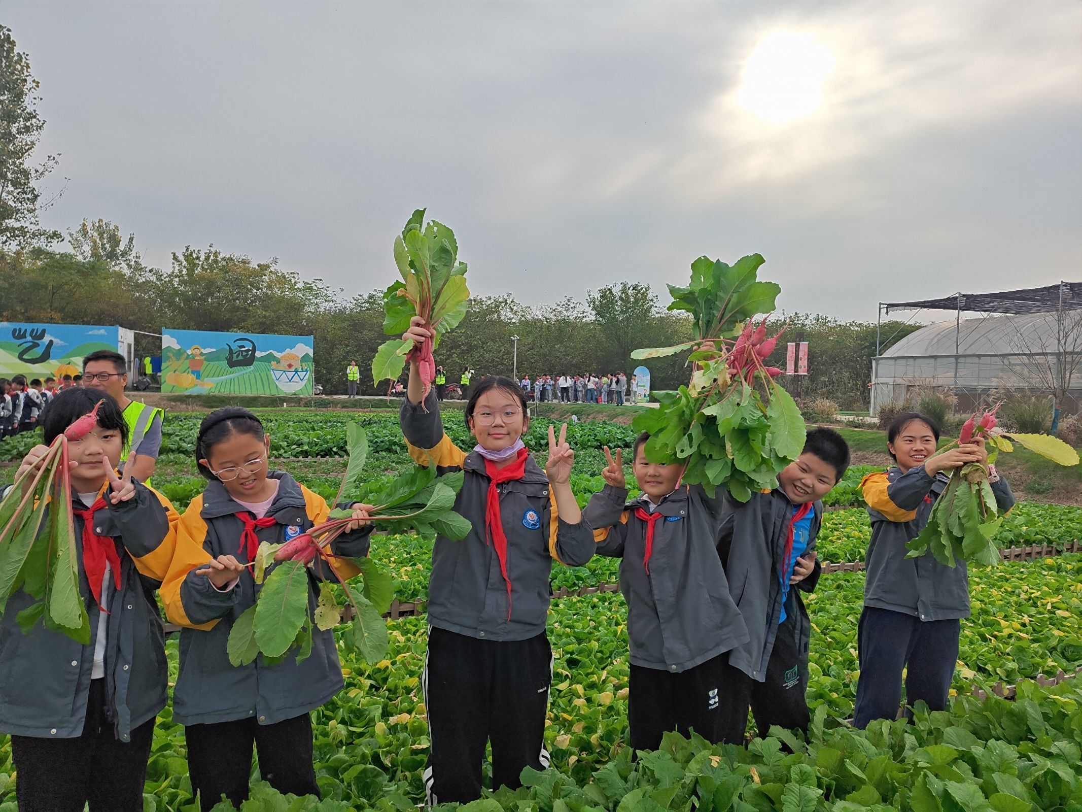 【至善实小】感悟劳动之美 培养实践之心——栖霞区实验小学开展劳动实践活动_html_mbc53e57.jpg