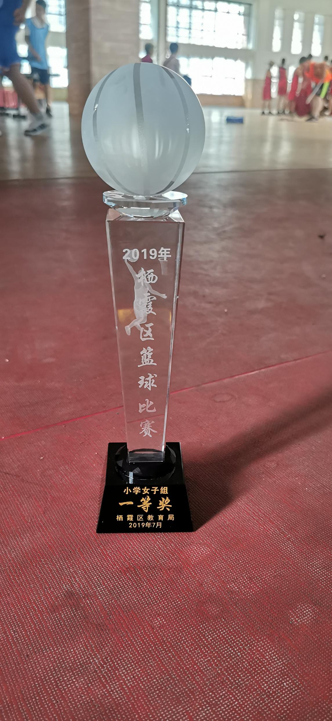 喜报 我校勇夺栖霞区阳光体育节篮球比赛小学女子组冠军_html_249ef81c.jpg