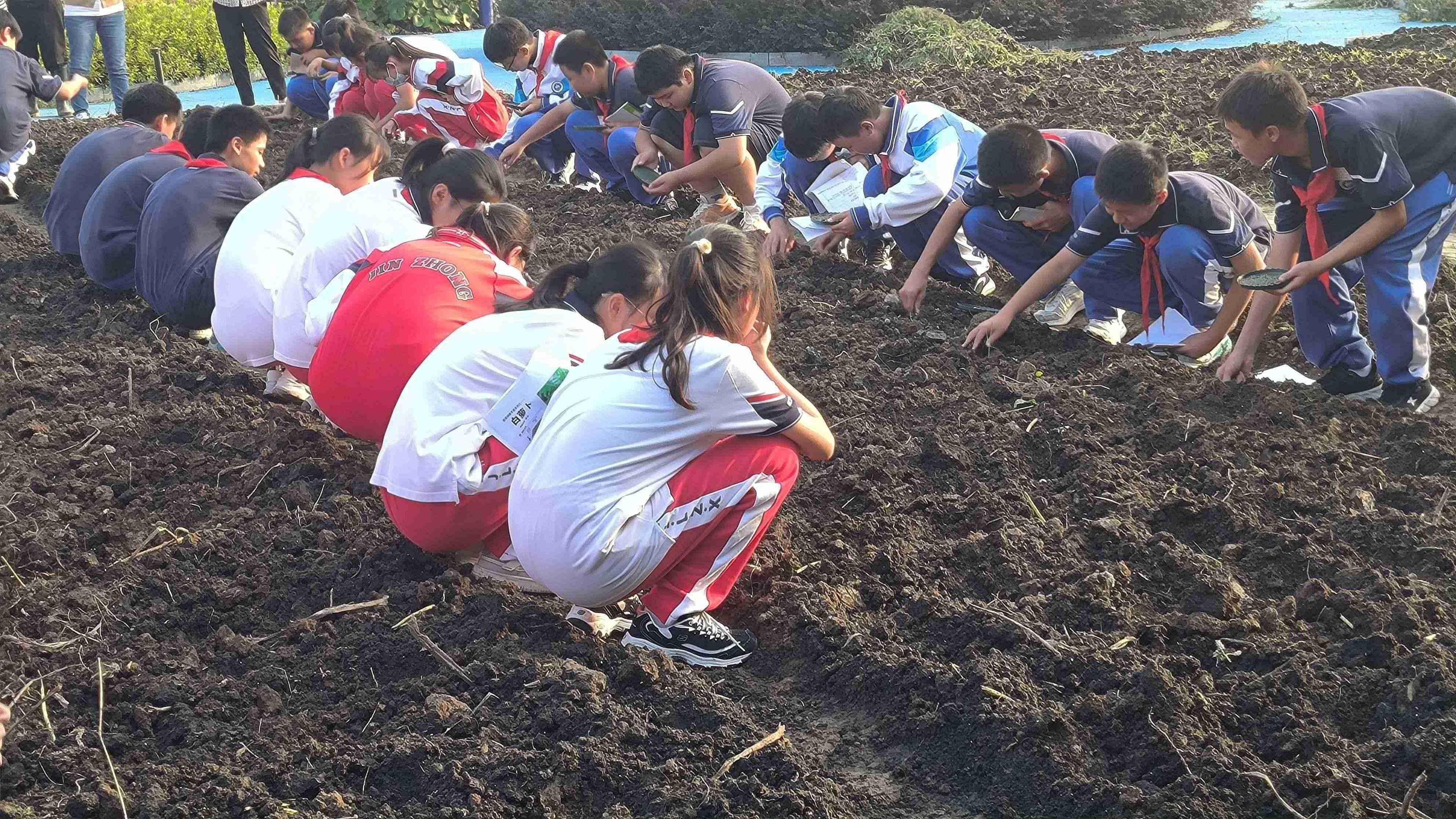 【臻美金龙】让希望播种，让梦想开花——金中仙林龙潭校区开展蔬菜种植劳动教育实践活动_html_538b5085.jpg