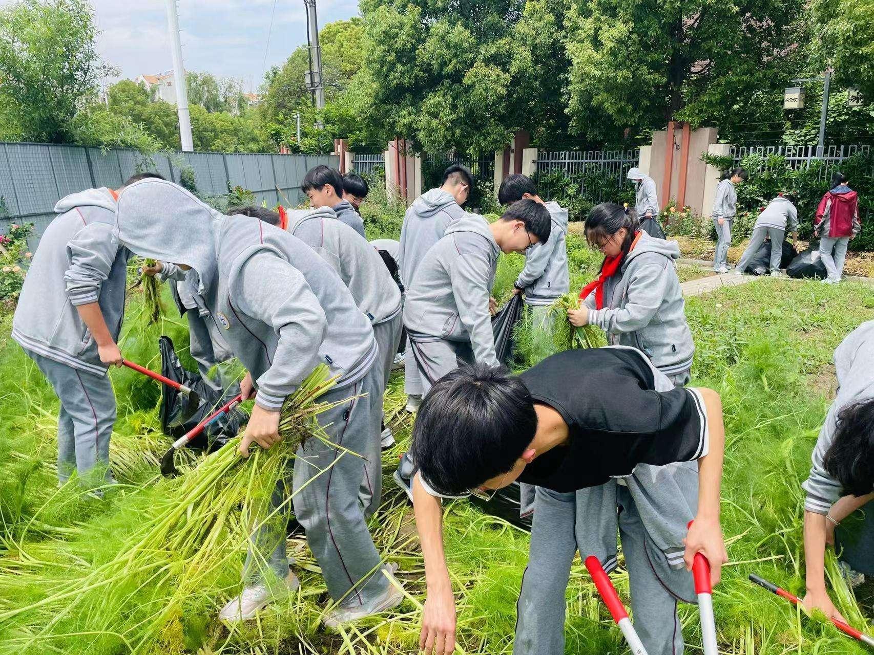 新建 DOC 文档_html_m659a0362.jpg