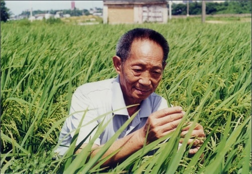 红领巾学先锋第2期_html_m3d351f85.jpg