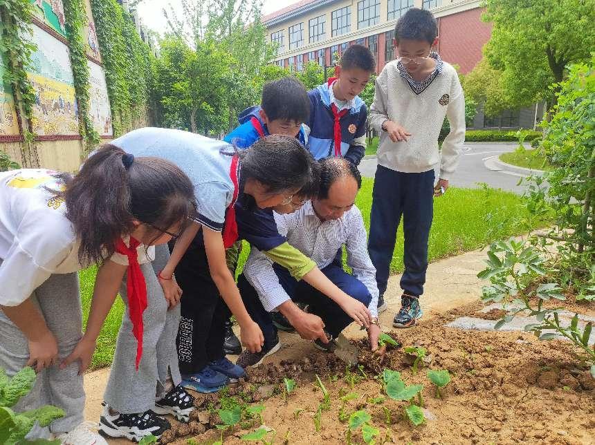 20240509劳动砺心智，实践促成长(1)_html_m2365b060.jpg