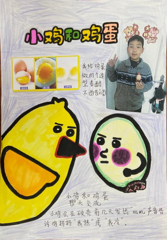 探寻“鸡蛋”奥秘新闻稿_html_m55fce00b.jpg