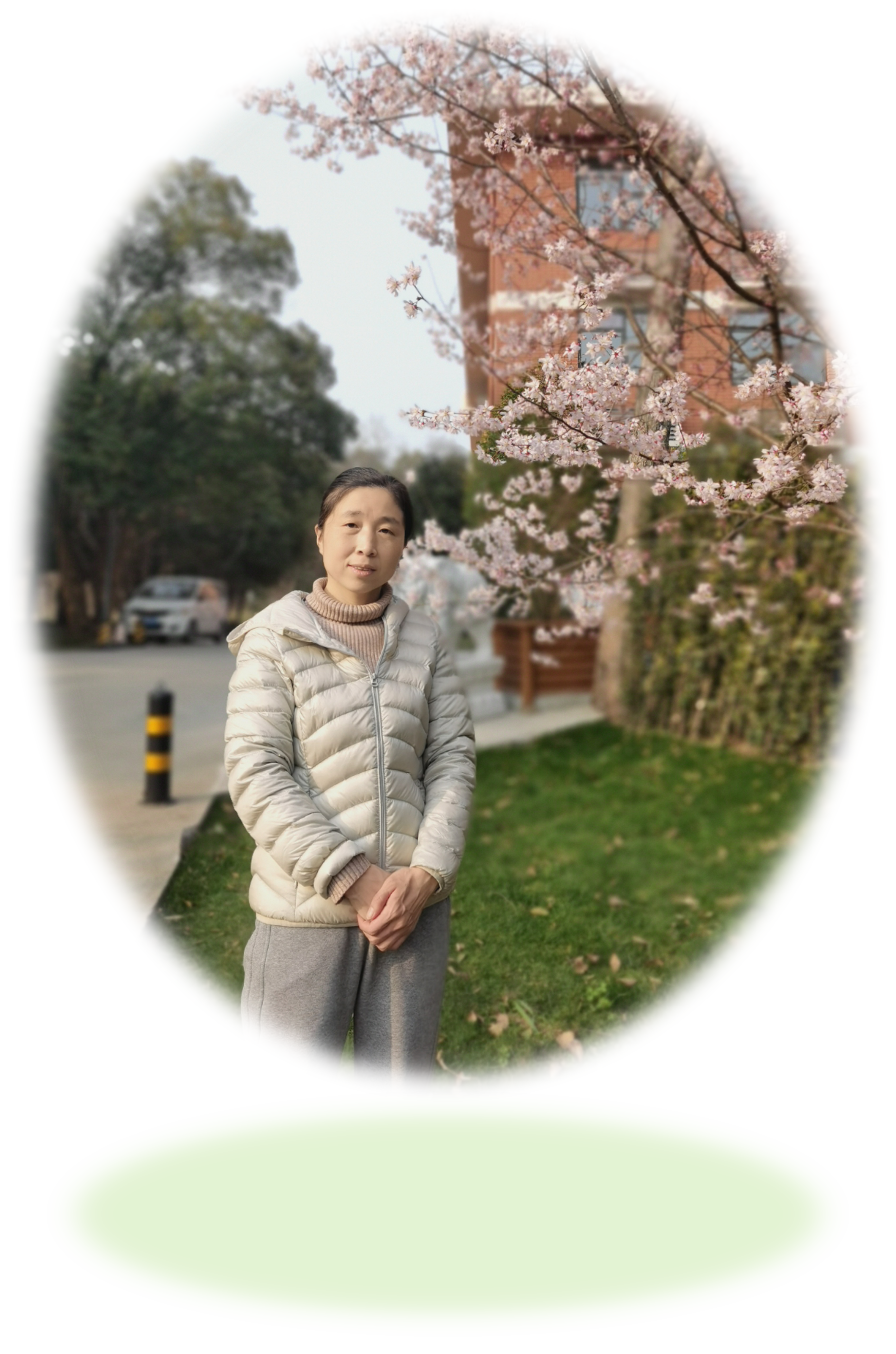 图片11.png