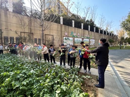 20231212快乐拔萝卜 喜获大丰收(1)_html_319e1b94.jpg