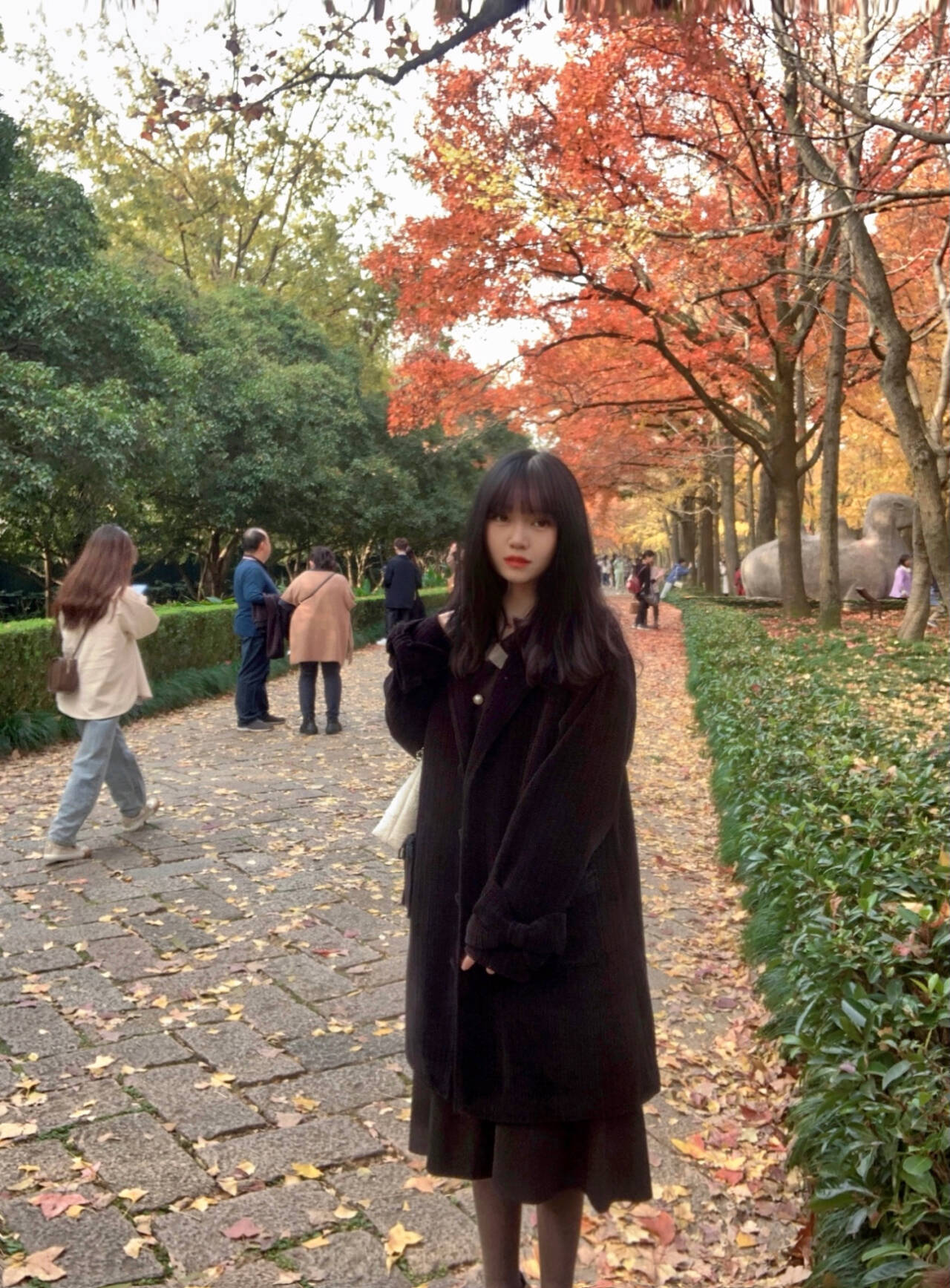 20241203立足论文撰写，赋能专业成长_html_m629fc75f.jpg