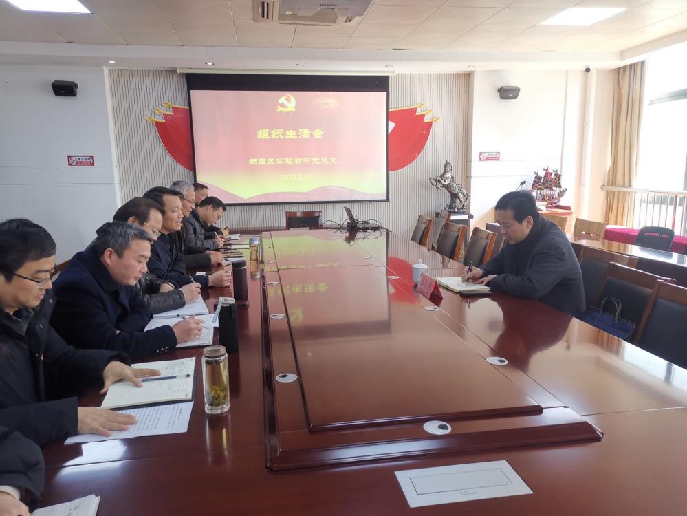 2022-2-25栖霞区实验初级中学党总支召开组织生活会和民主评议党员大会_html_5b8a9618.jpg