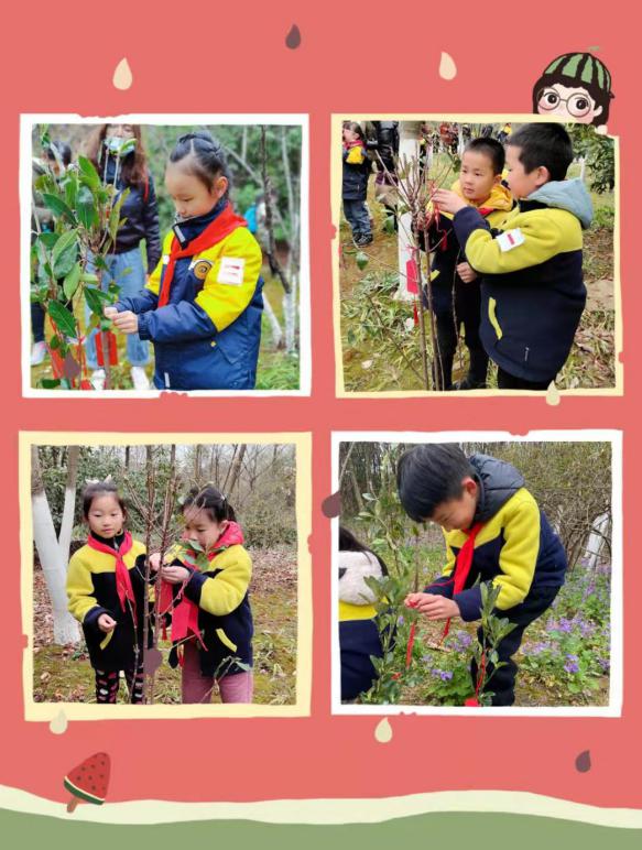 晓院二（1）班植树活动_html_m4e9c2c42.jpg