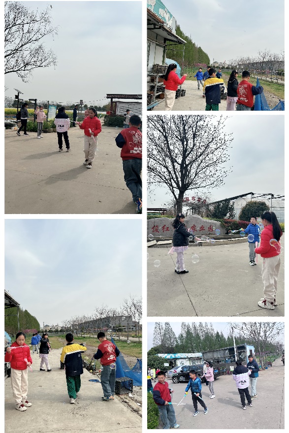 四（2）班春日农场研学，萌娃乐翻天_html_2c223f70.jpg