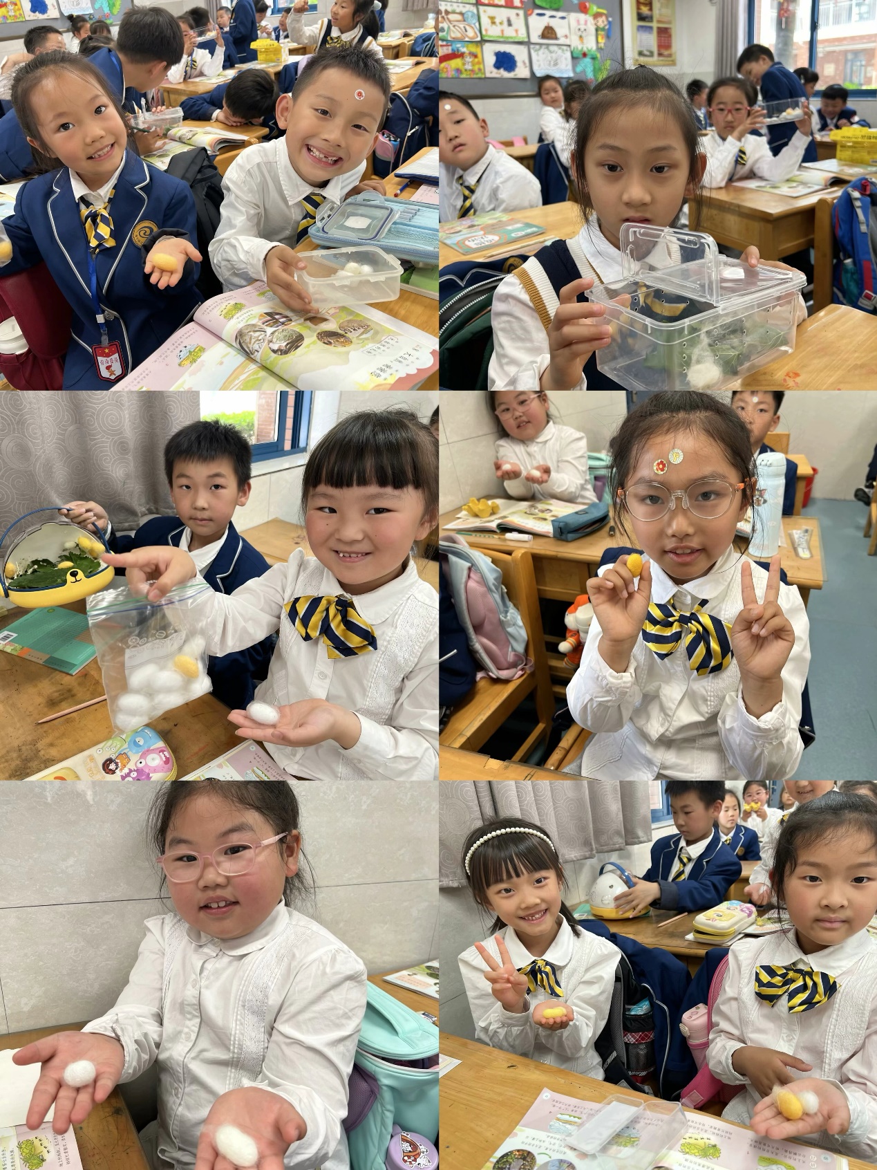 养蚕记(1)_html_m1d968568.jpg
