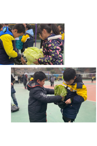蔬菜有价，爱心无价           ——记陶娃义卖大白菜活动(1)_html_m7bc5f56a.png