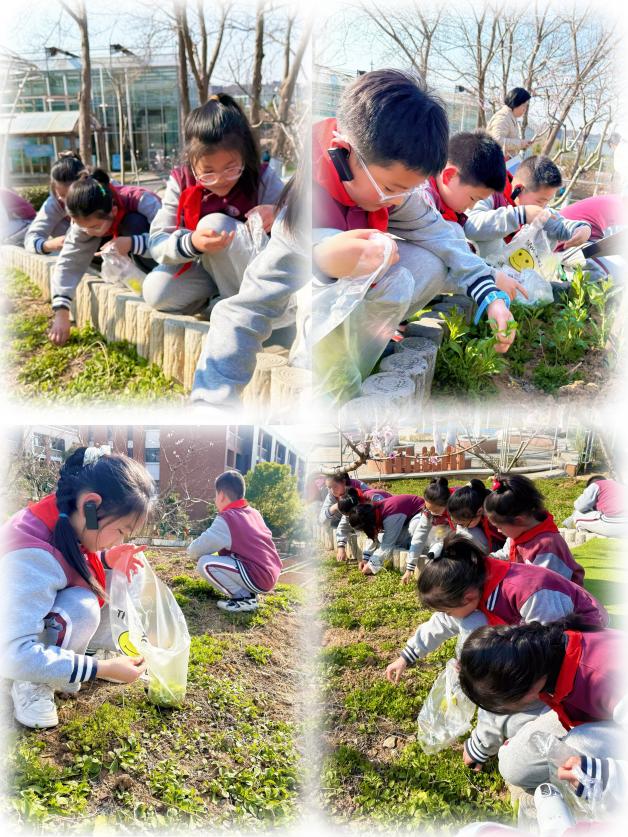 【丁香汉声·学生成长营】踏春学农，劳动润心_html_35fde739.jpg
