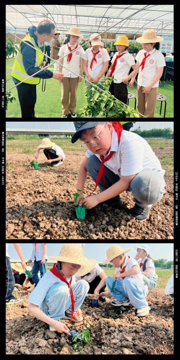 劳动出真知，实践伴成长_html_mb32cf79.jpg