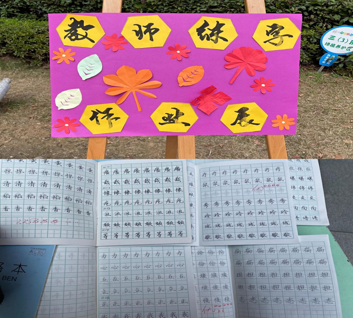 优秀作业展_html_m7a4dc662.jpg