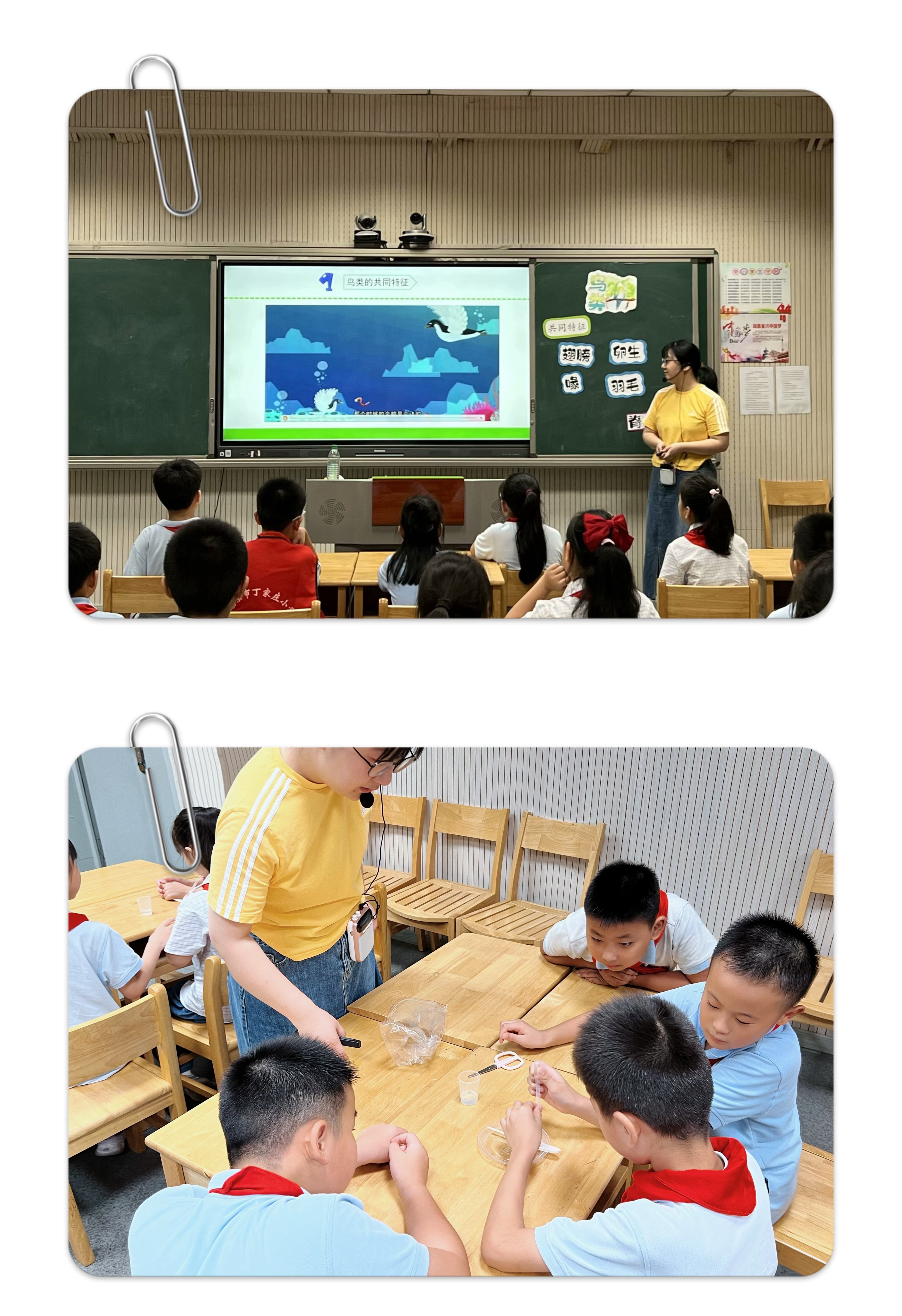 领研示范赋新能，行思促教共成长_html_550df695.jpg
