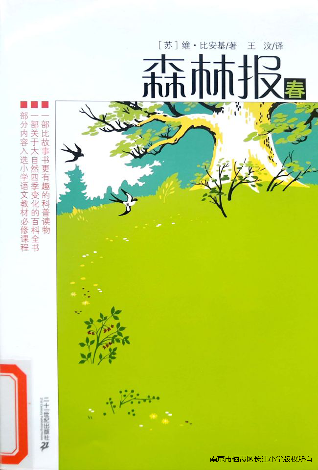 图片 11.png