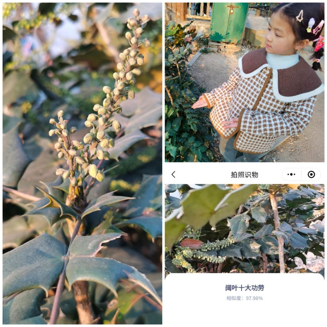 （低）我们去哪儿——范蕙心.jpg