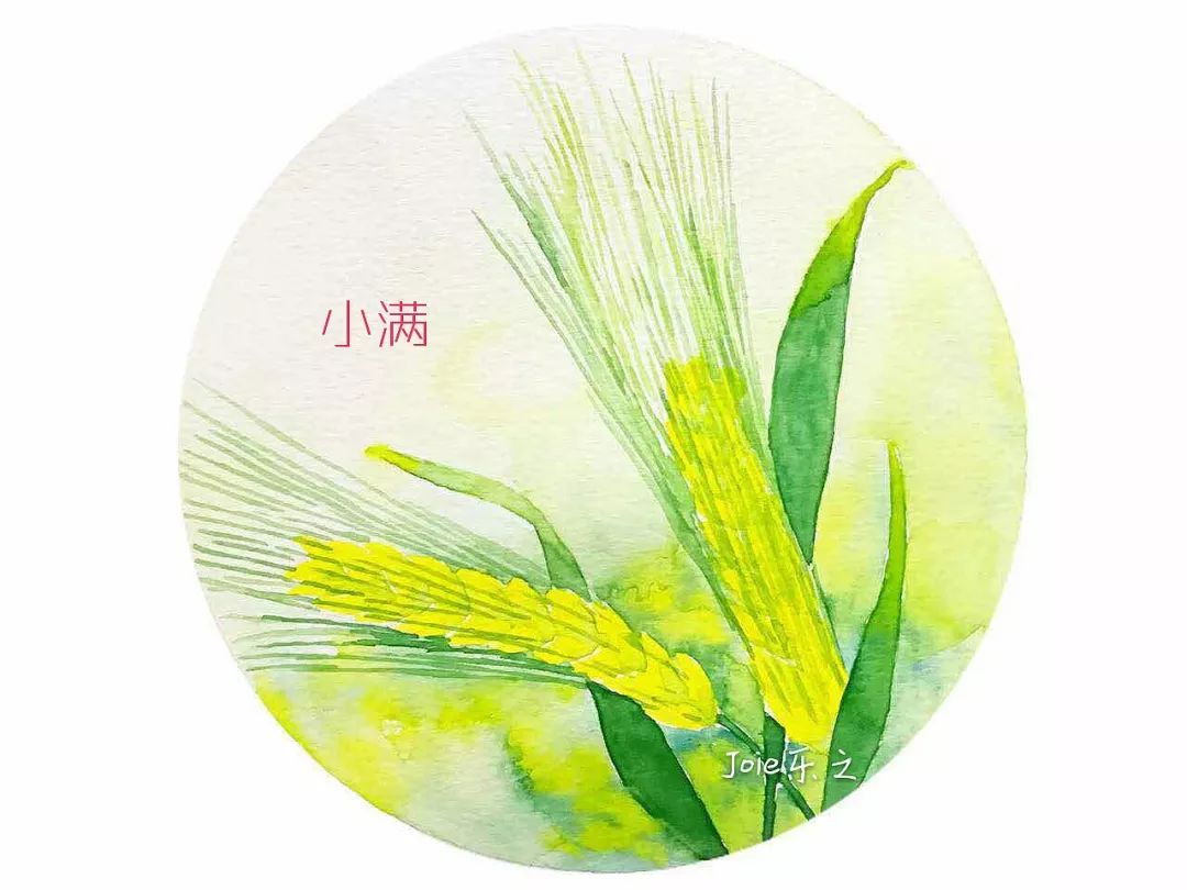 【书院紫金】初夏迎小满，万物皆欢欣——记紫金小学小满班主题节气活动