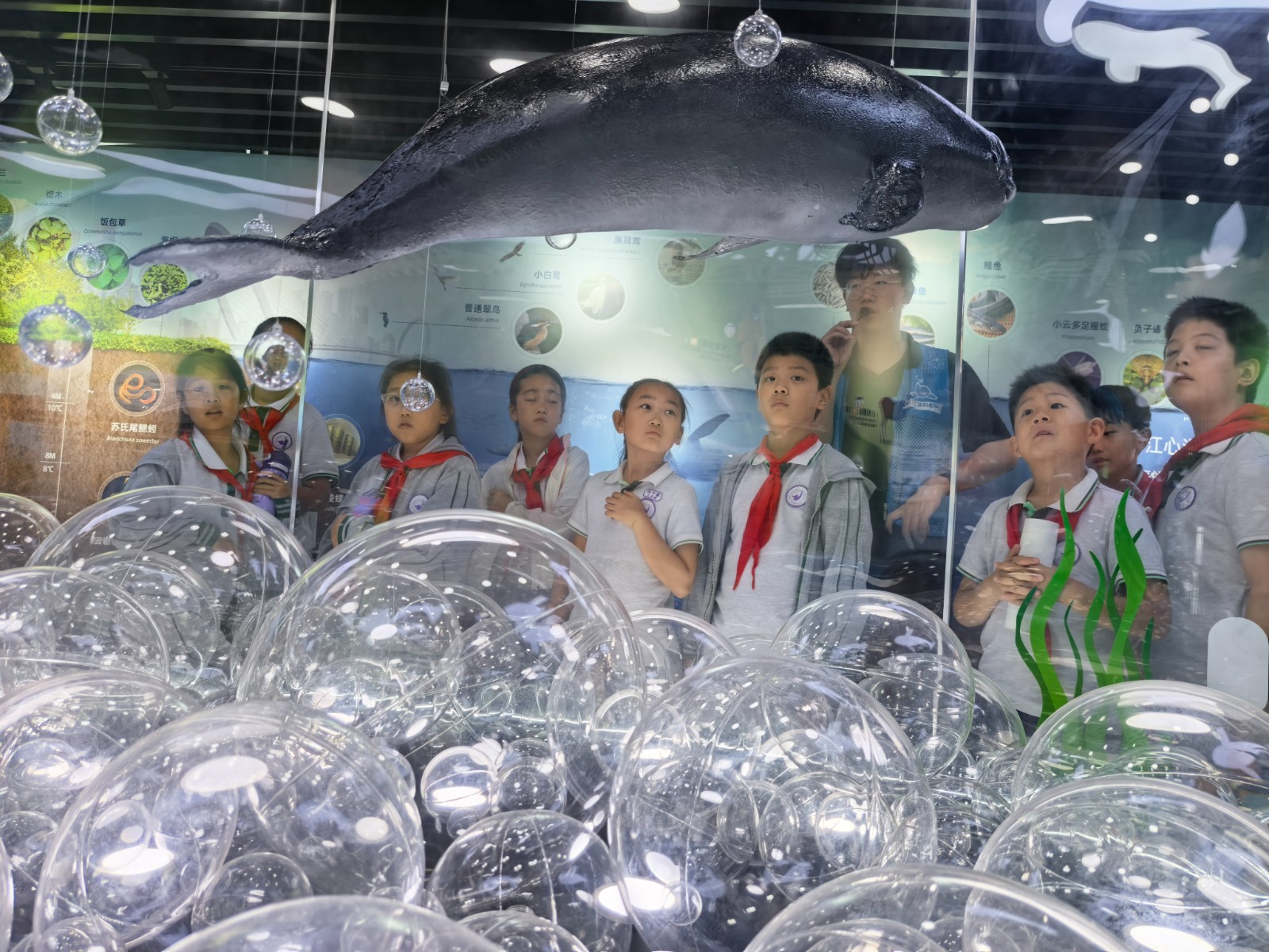 【书院紫金】无废校园新风尚，微笑江豚我守护——南京市紫金小学2025“红领巾假日小队”在行动（六）