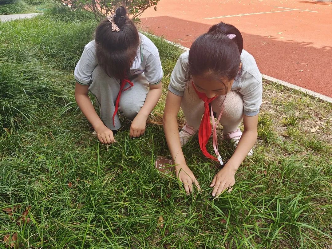 芒种_html_m5af10c27.jpg