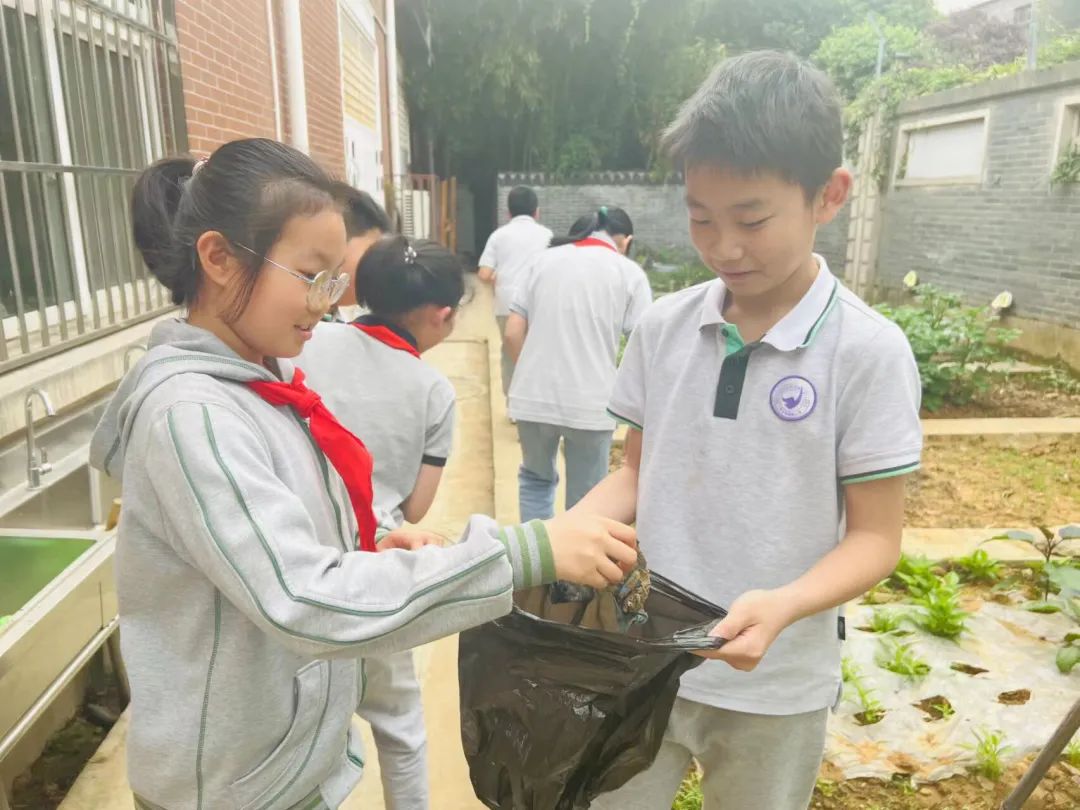 【书院紫金】劳动美化校园——记紫金小学开展劳动教育实践活动