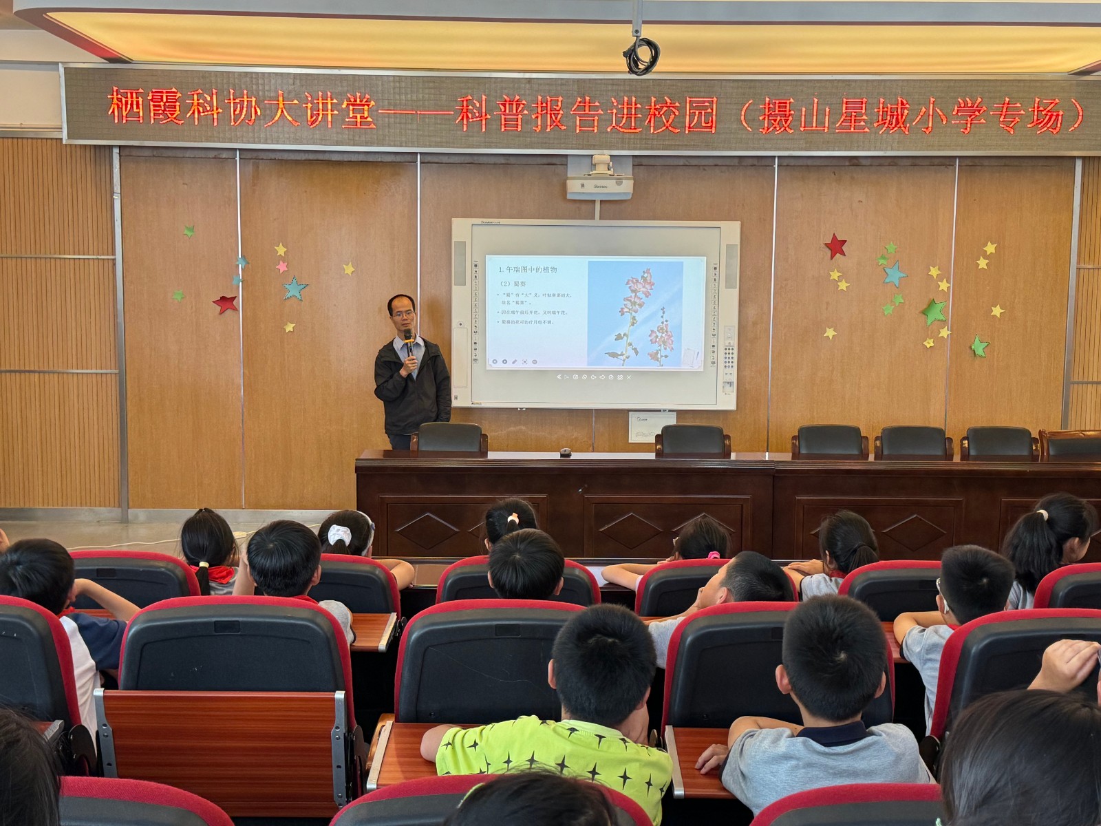 【星光摄小】与“粽”不同的植物 ——栖霞科协大讲堂之摄山星城小学专场