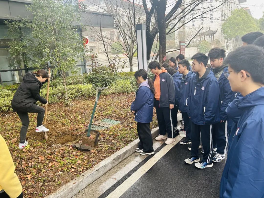 【栖中德育】植此青绿，共绘春色 ——南京市栖霞中学植树节活动纪实