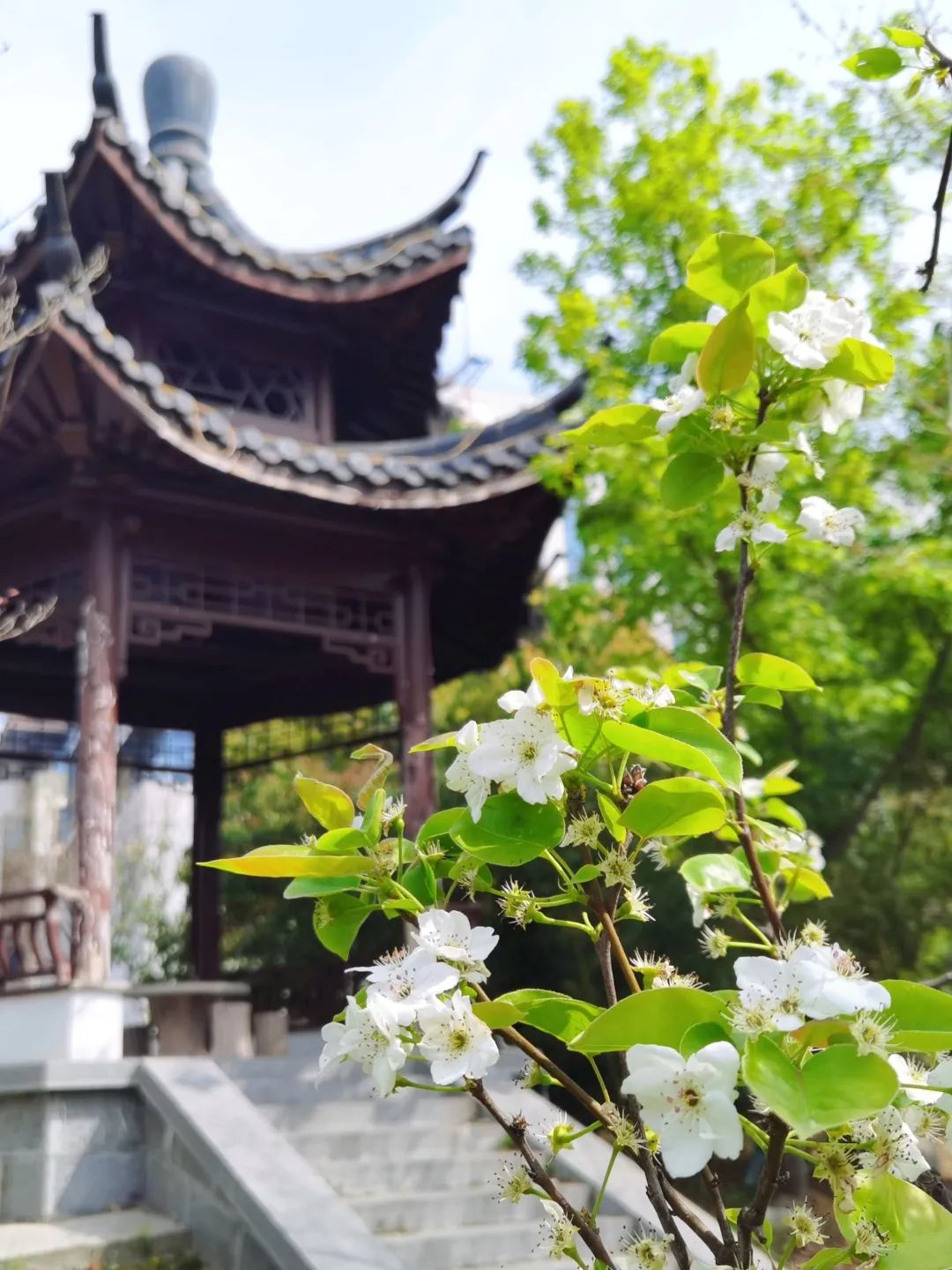 微信图片_20230401214335.jpg