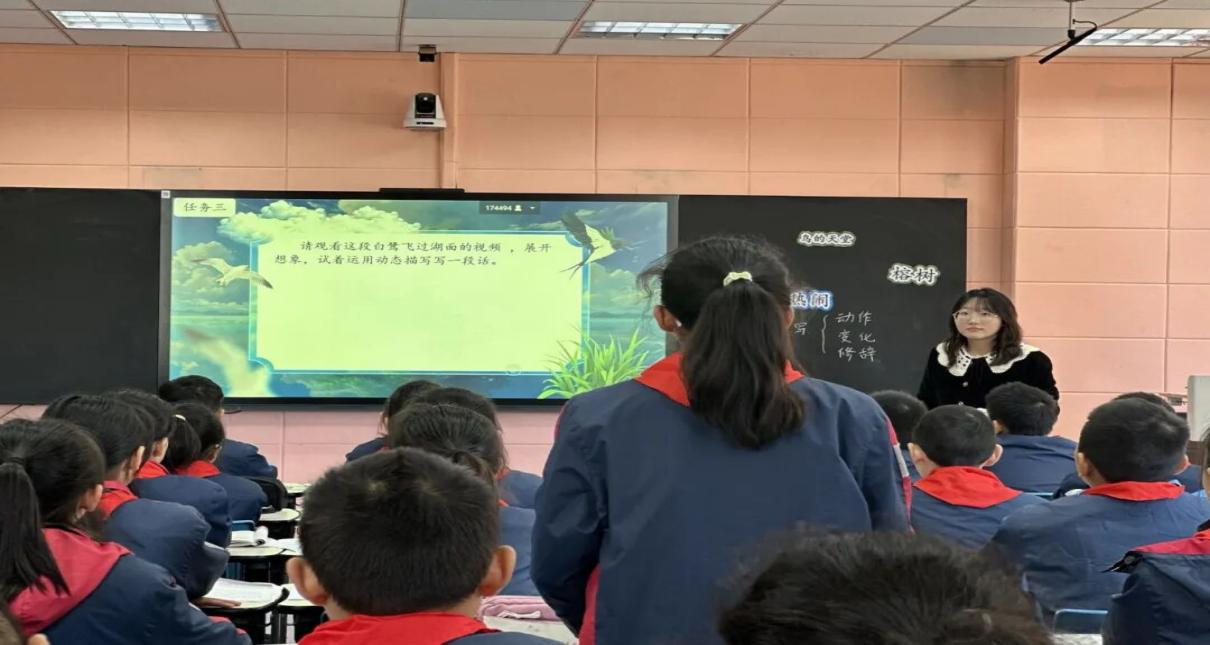 图片4.png 图片4.png