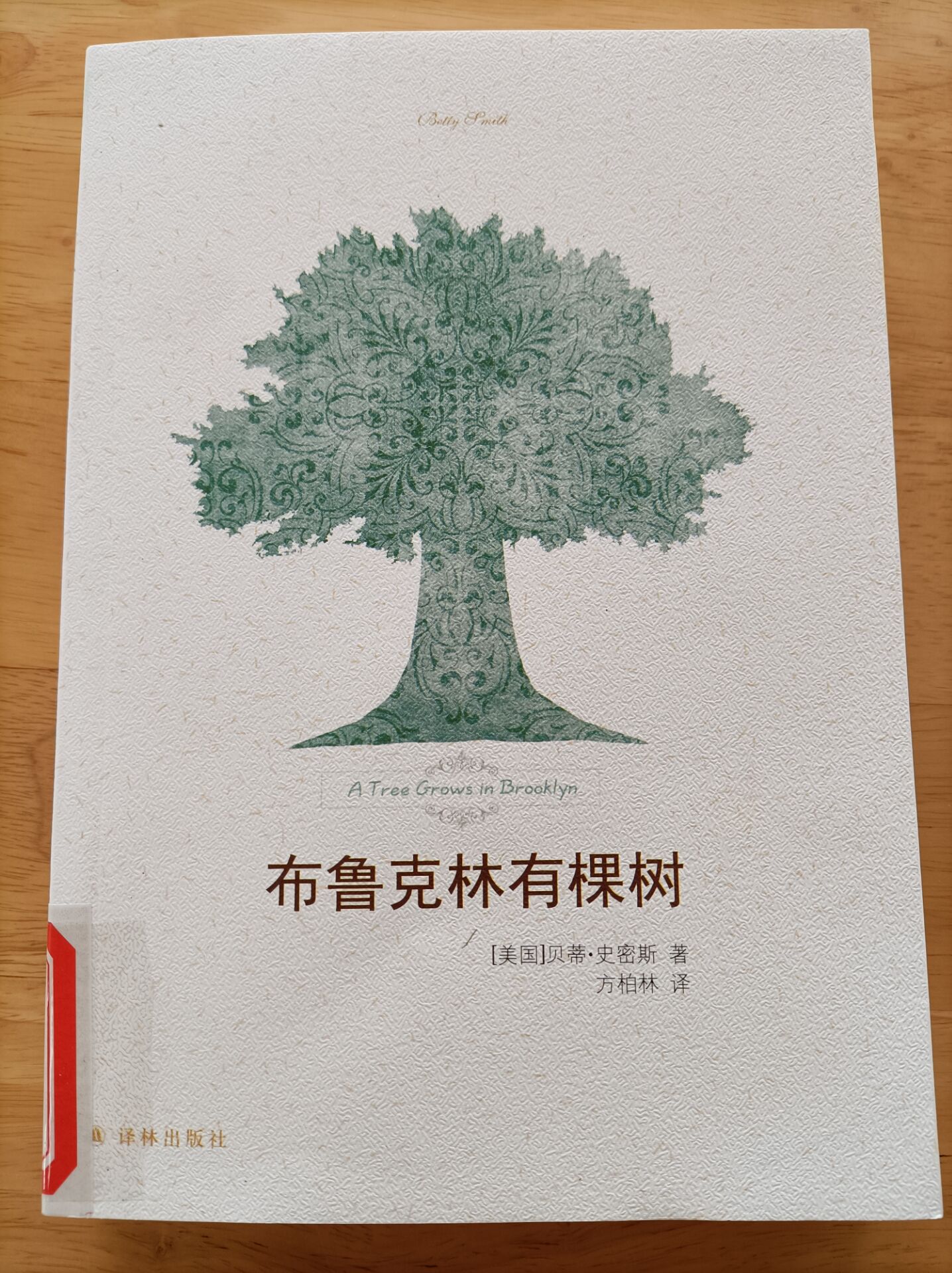 《布鲁克林有棵树》.jpg