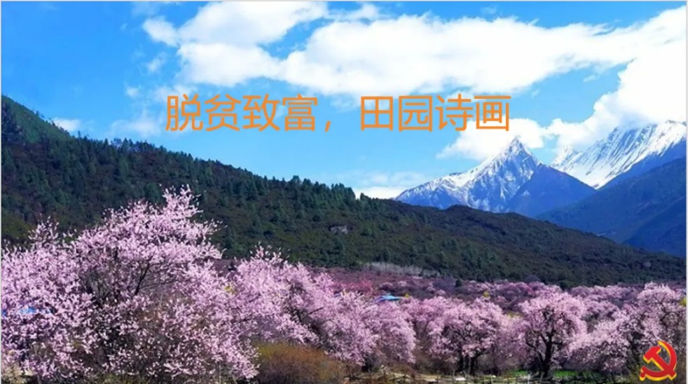 为学习贯彻习近平总书记在西藏考察期间的重要讲话精神_html_m2cf44b8.jpg