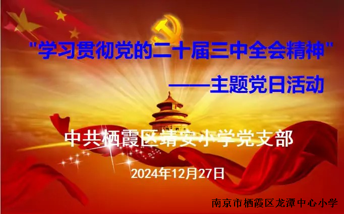 【雅韵先锋】学习贯彻党的二十届三中全会精神——中共栖霞区靖安小学党支部主题党日活动