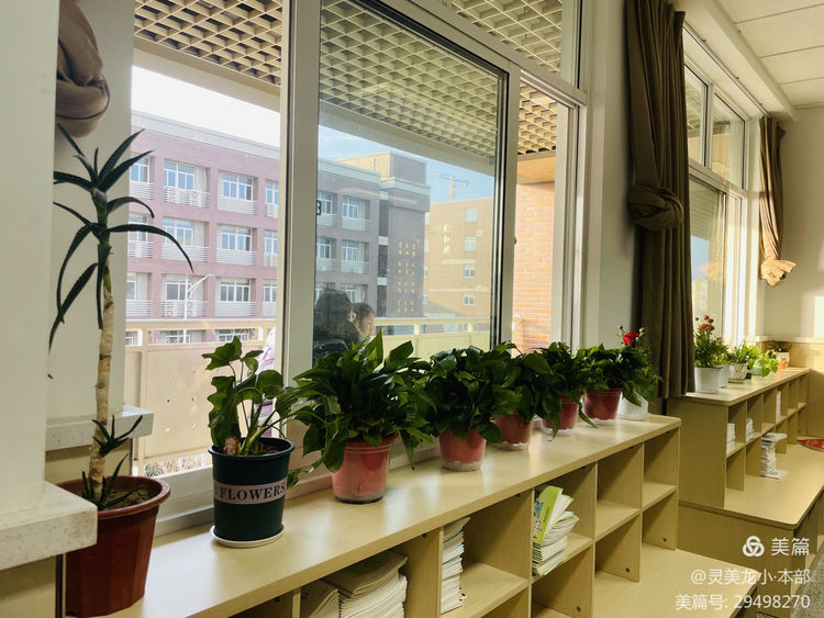 【灵美龙小·德育】春风十里，植此青绿——龙潭中心小学（本部）开展植树节系列活动_html_61ad31d3.jpg
