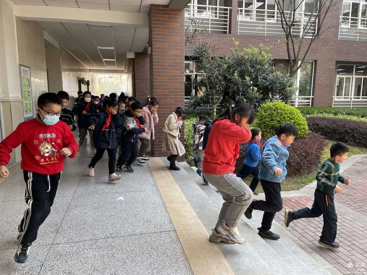 【灵美龙小 龙岸】“安全伴我 快乐成长”安全教育日主题系列活动