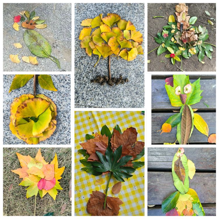 2025.11.11探秘植物王国 感受自然奇妙——龙潭中心小学开展2025年秋季社会实践活动_html_m6b1b4bd3.jpg