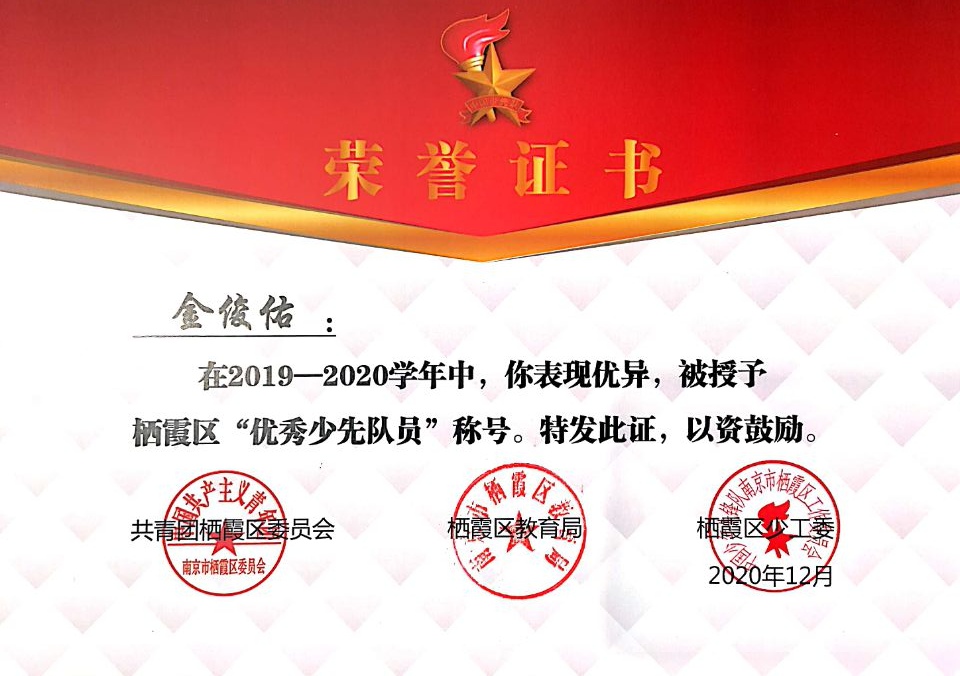 【雅韵先锋】喜报—靖安小学少先队