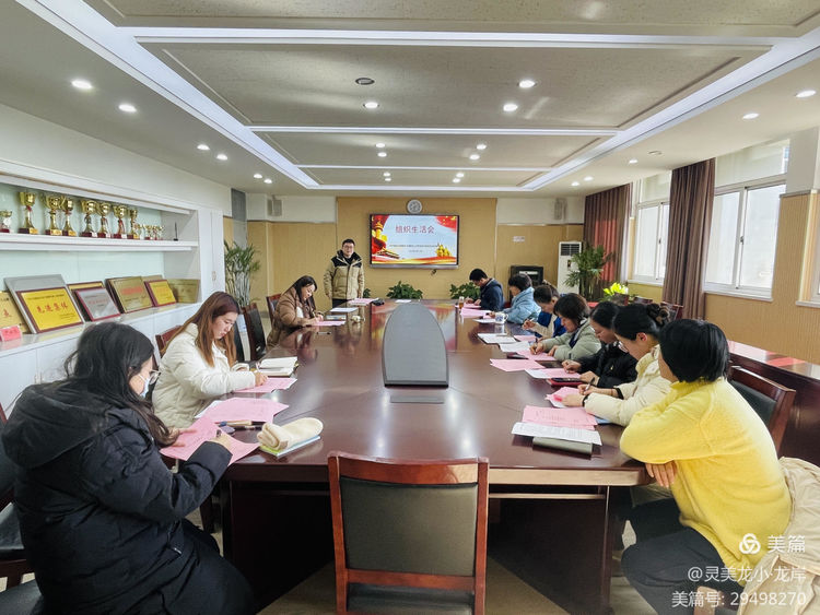 【灵美龙小·组织生活会】龙潭中心小学龙岸花园校区党支部开展组织生活会_html_6bfbd2a1.jpg