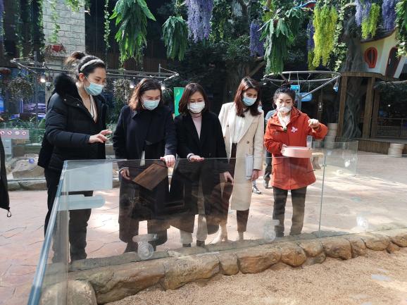 【枫香栖幼】实地调研开发周边资源  ——栖霞幼儿园翡翠天域园周边资源开发教研活动