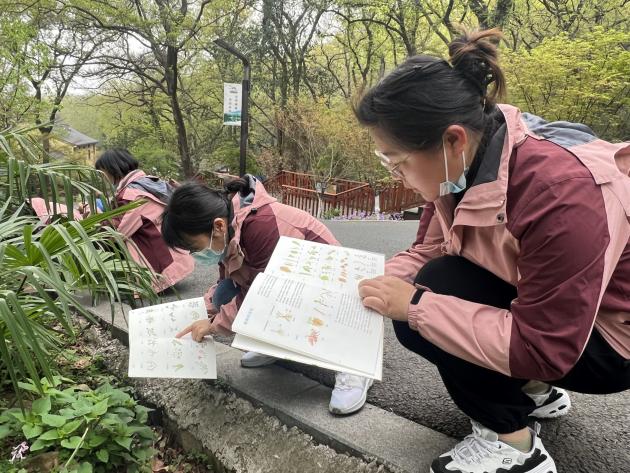 【枫香栖幼】走近山林 探秘山趣  ——记栖霞幼儿园五福园课程中心组教研活动（三）