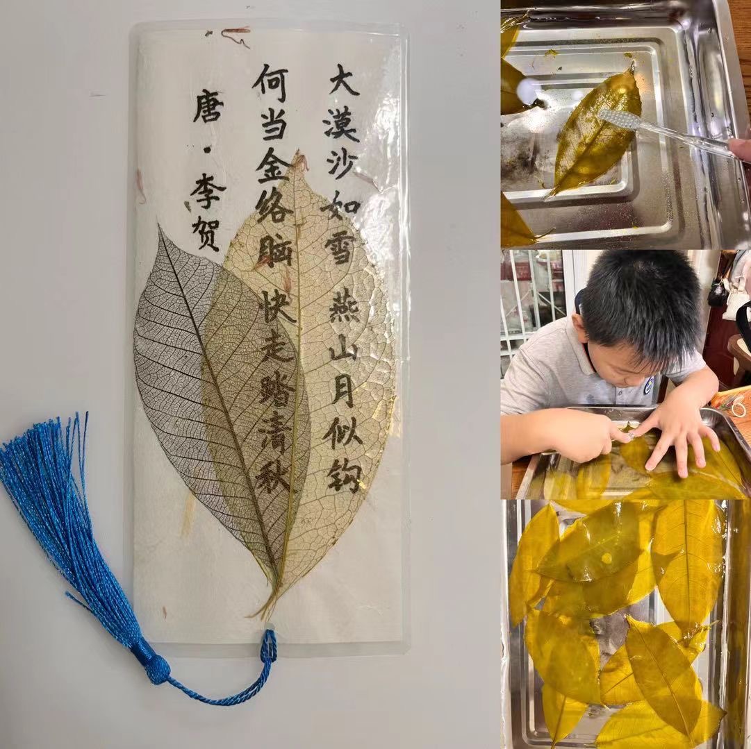 【博学广志】精彩纷呈 共享中秋_html_4a625a74.jpg