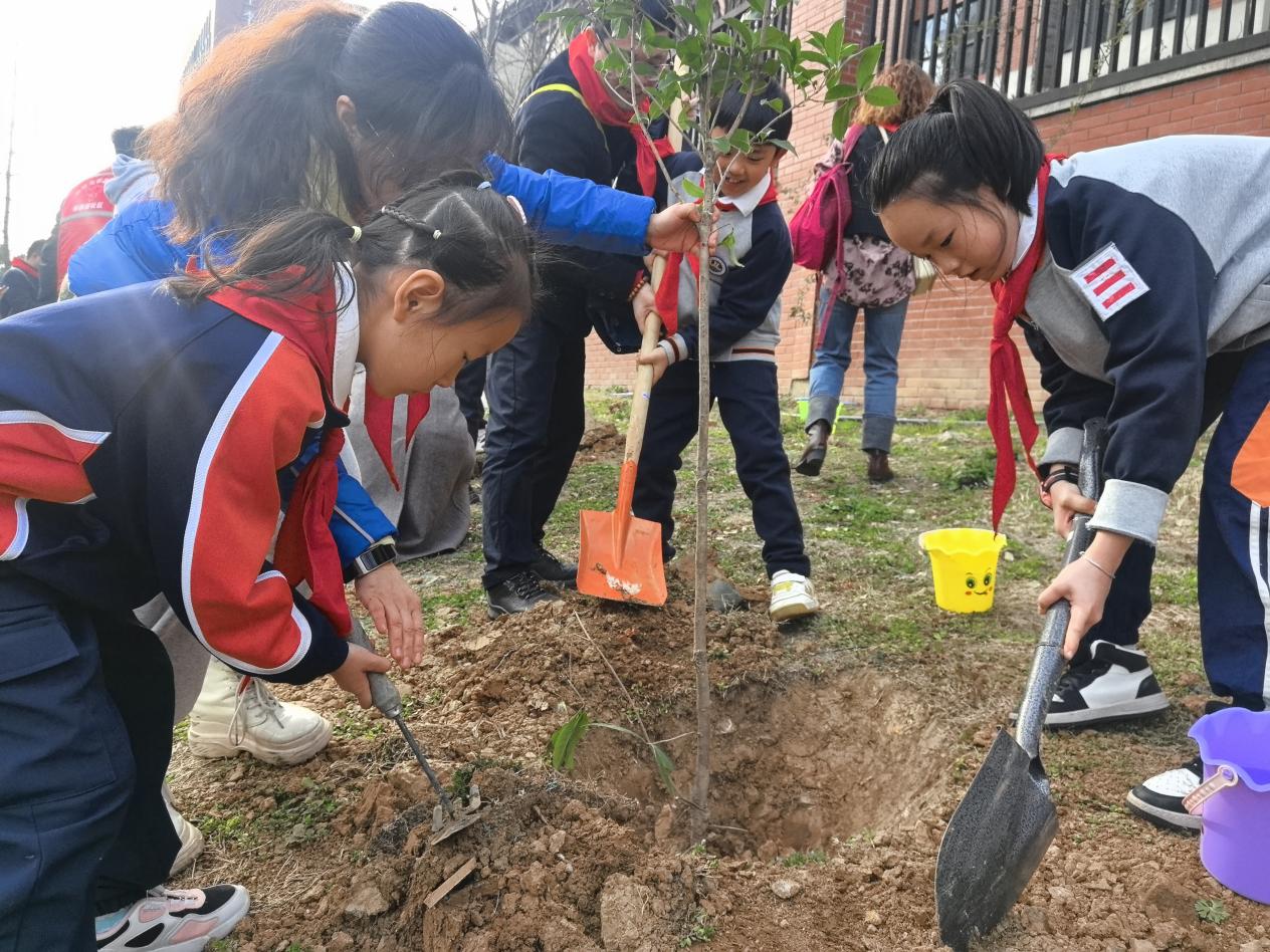 相约春天 共植希望——记金陵小学2024年植树节活动_html_6a7c28d3.jpg