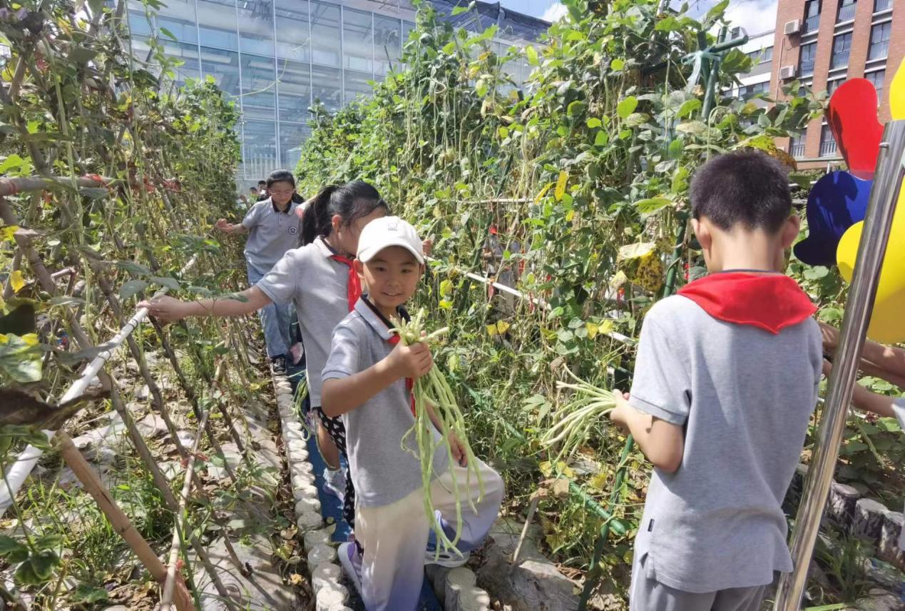 【博学广志】夏日劳作晓农事 科技研学促成长——记金陵小学（广志路校区）7.27日劳动研学活动_html_m5b463ce8.jpg