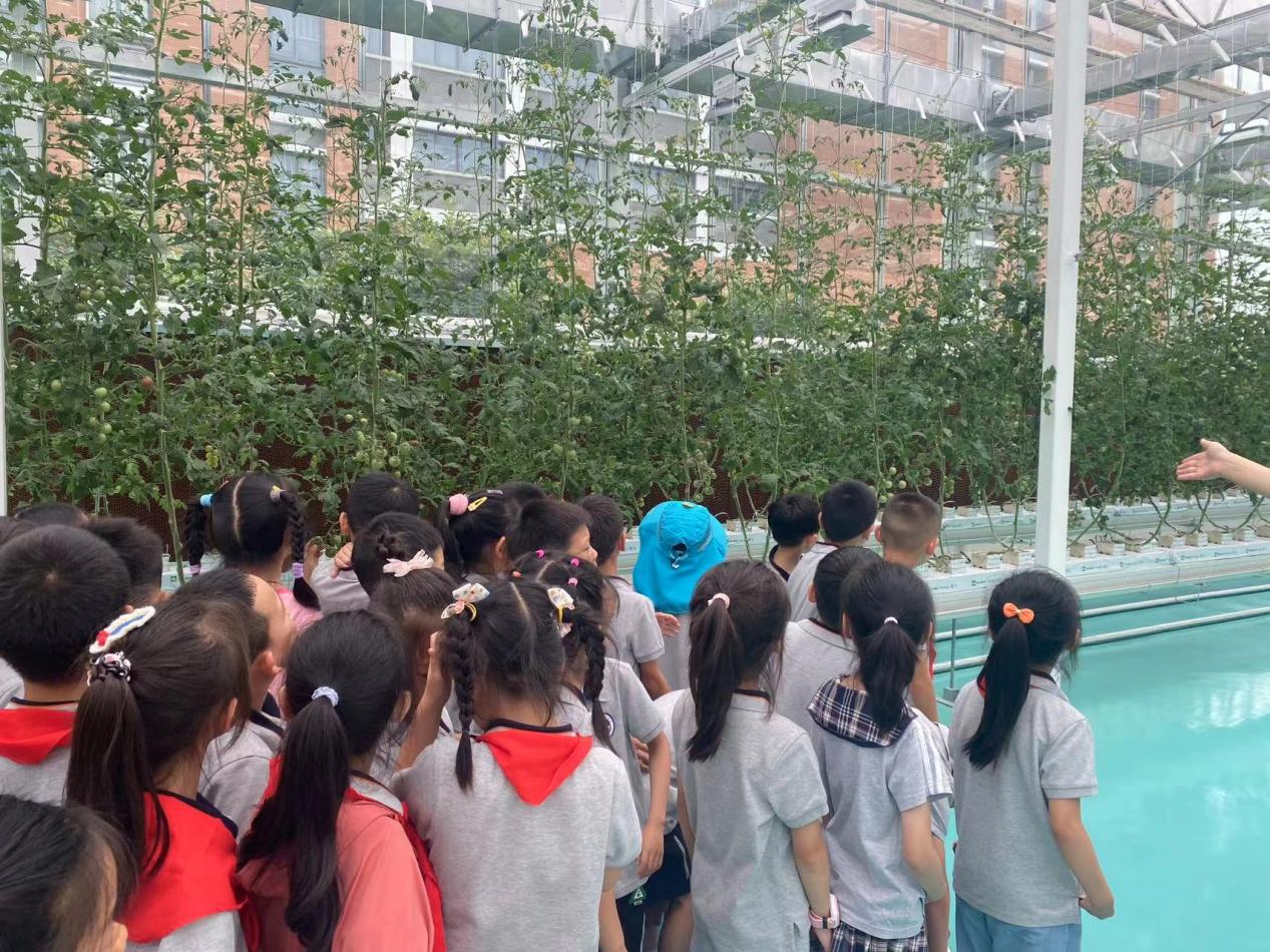 【湖畔·学生活动】创新实践在自然 劳动研学促成长——栖霞区劳动教育月金陵小学（仙林湖校区）生态园研学活动_html_37fb402b.jpg