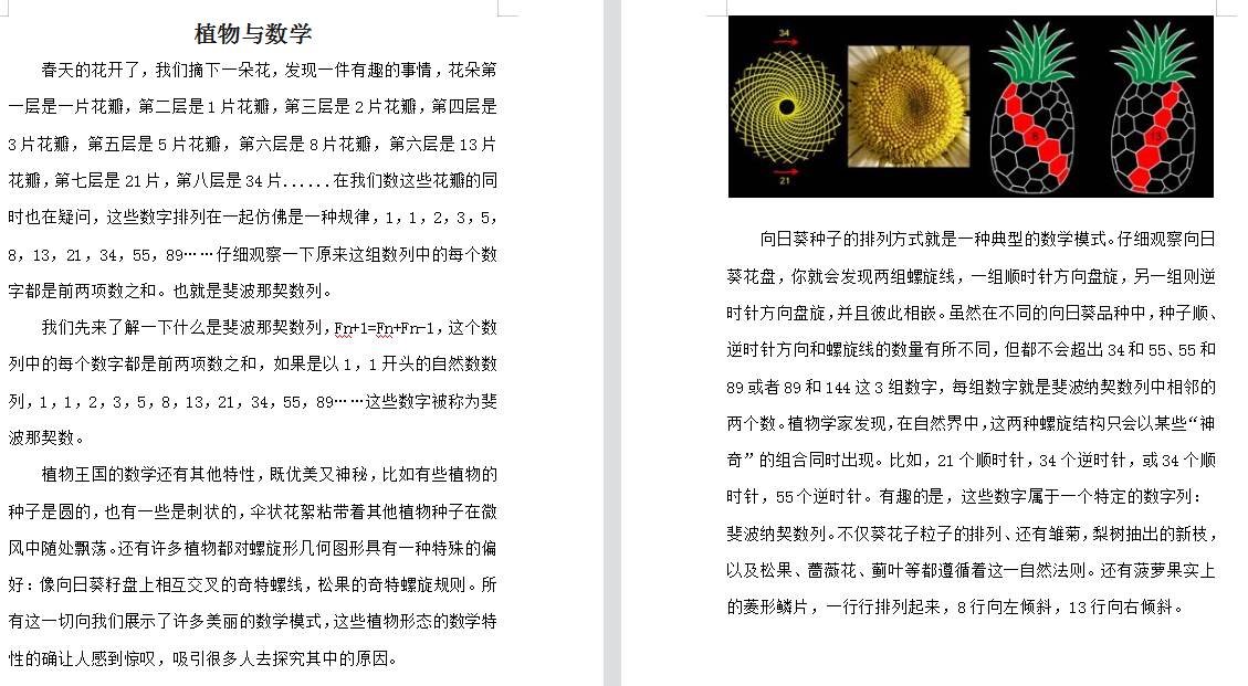 【湖畔·特色项目】“双减”暑假添新意 特色作业续华章——金陵小学（仙林湖校区）暑假作业展_html_m1289657.png