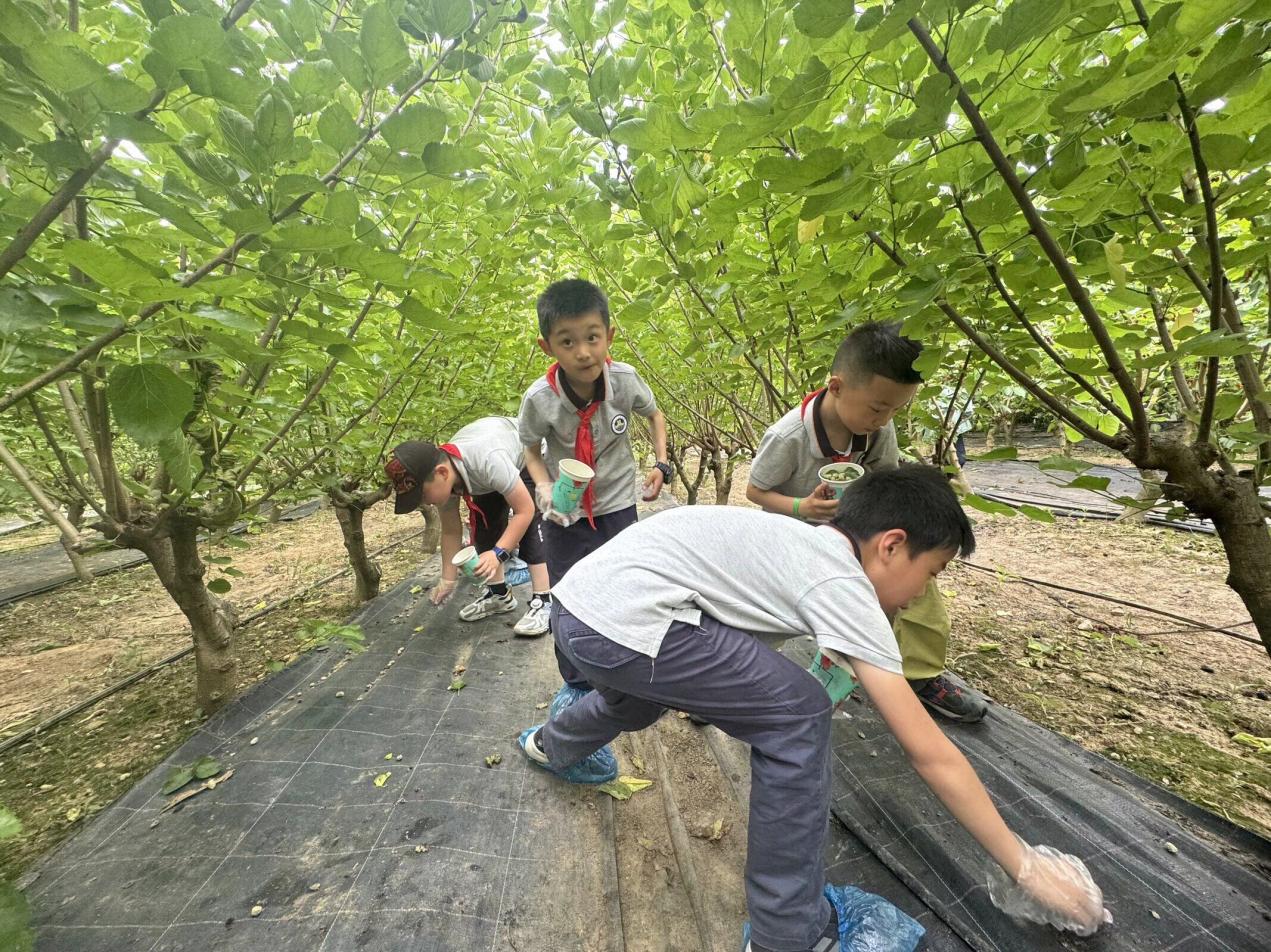 【湖畔 家长互助团】梦起科大，智慧启航——“小蓝鲸”科普研学营第二次蚕桑和船海科技之旅_html_m39c1910c.jpg