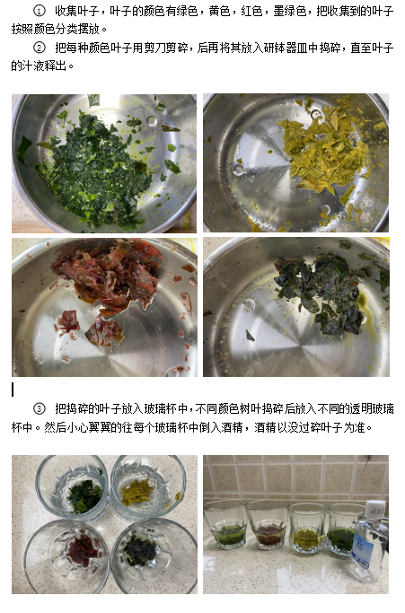 图片25.png